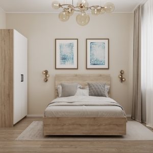 Функционализм